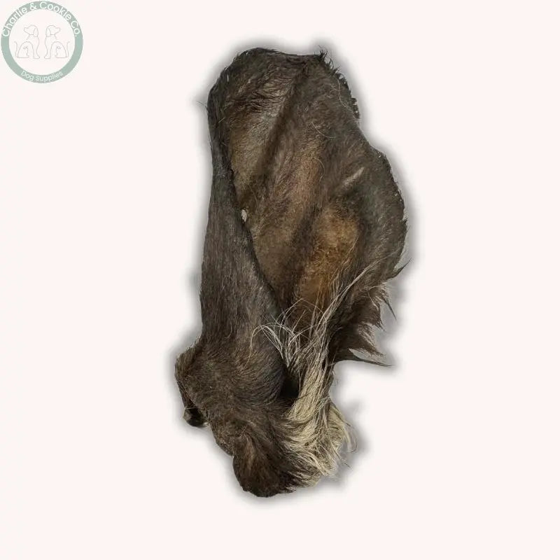 C&amp;C Hairy Cow Ears | Natural, Dental-Supporting Chew for Dogs Charlie &amp; Cookie Co.