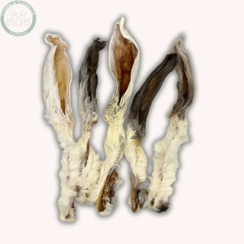 C&amp;C Hairy Rabbit Ears | Hypoallergenic, Natural Chews for Dogs Charlie &amp; Cookie Co.