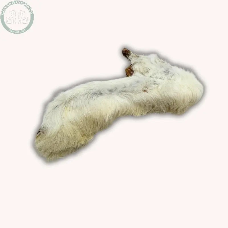 C&amp;C Hairy Rabbit Feet | Hypoallergenic Natural Chew for Dogs - Charlie &amp; Cookie Co.