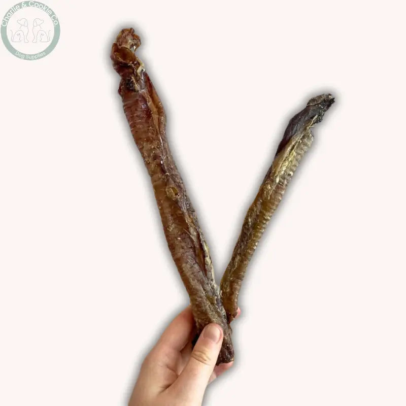C&amp;C Lamb Trachea (Mixed Sizes) | High-Protein, Easily Digestible Chew for Dogs Charlie &amp; Cookie Co.