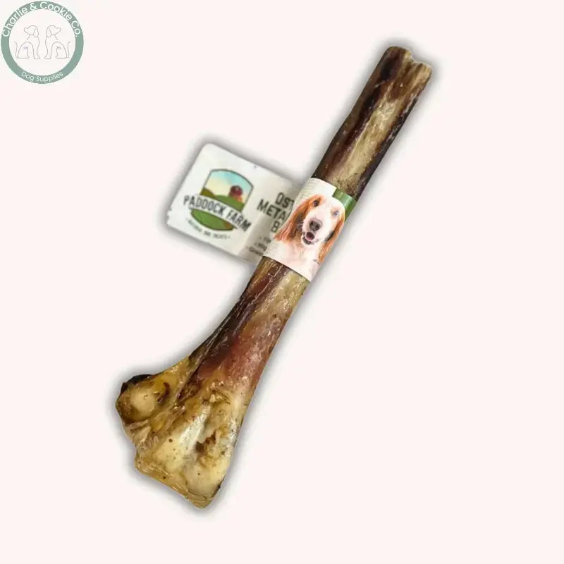 Paddock Farm Ostrich Metatarsus Bone single natural dog chew