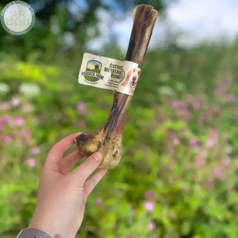 Paddock Farm Ostrich Metatarsus Bone (Single) | Hypoallergenic, Long-Lasting Natural Dog Chew Paddock Farm
