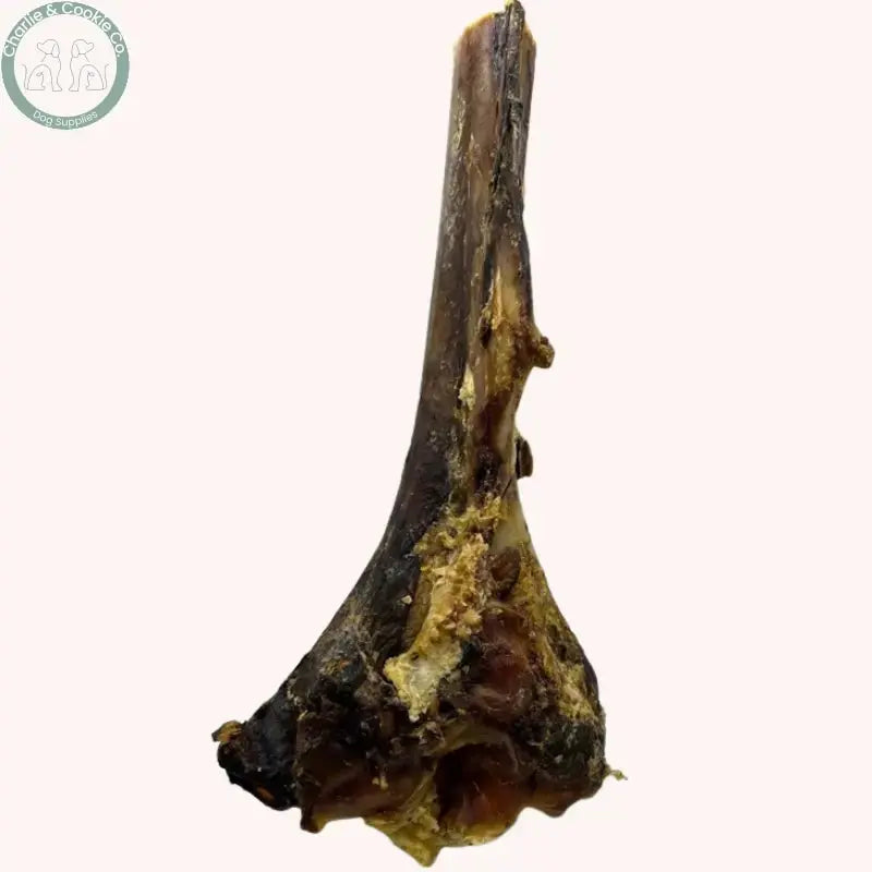 Paddock Farm Ostrich Large Tibia Bone (Single) | Tough, Hypoallergenic Chew for Power Chewers Paddock Farm