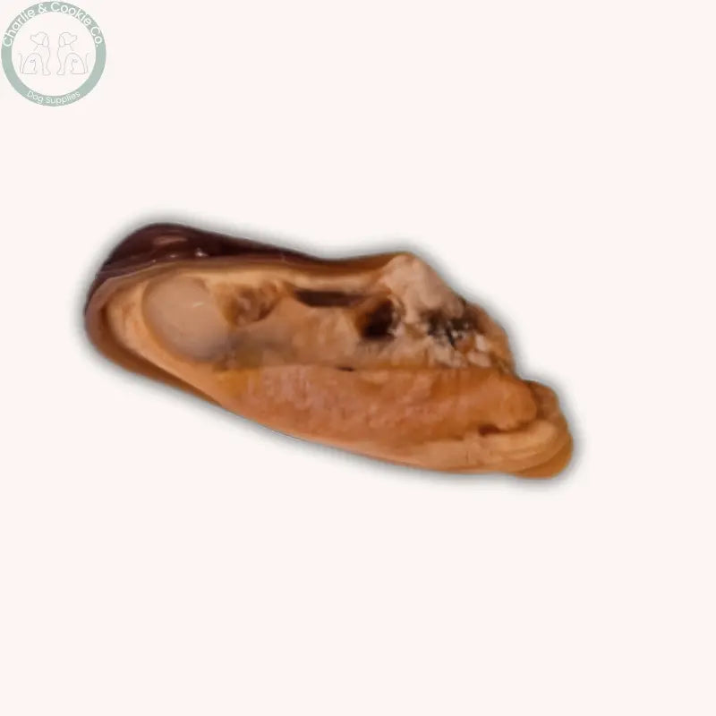 Close-up of a single Fish D’Light dried mussel