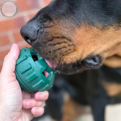 Frodog by Meaty Licks – The Ultimate Frozen Treat Toy for Dogs Apex Pet Products