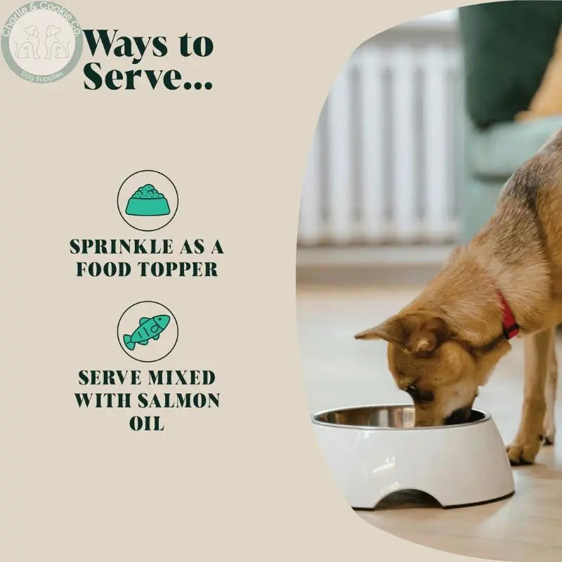 Hackney Dog House Green Lipped Mussel Powder 100g dog and cat food topper