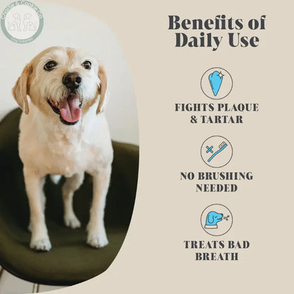 Hackney Dog House Plaque Seaweed Powder for Dogs and Cats | 120 Servings Hackney Dog House