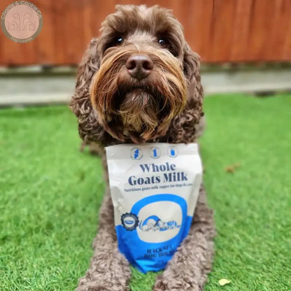 Hackney Dog House Whole Goat Milk Powder pouch with a dog