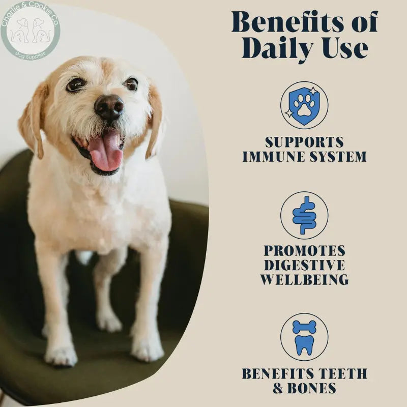 Hackney Dog House Whole Goats Milk 225g – Immune-Boosting, High-Nutrient Topper for Dogs and Cats Hackney Dog House