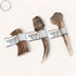 Highland Antler - 5 Weight Options - Nutrient-Rich Dog Chew - Charlie & Cookie Co.