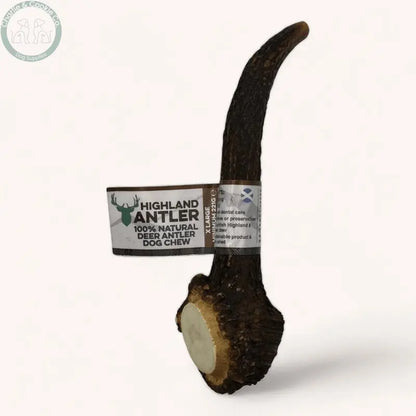 Highland Antler - 5 Weight Options - Nutrient-Rich Dog Chew - Charlie &amp; Cookie Co.