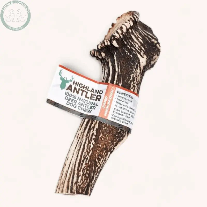 Highland Antler - 5 Weight Options - Nutrient-Rich Dog Chew - Charlie &amp; Cookie Co.