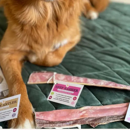 JR Pet Products Beef Rasher 30cm | Long-Lasting Natural Dog Chew