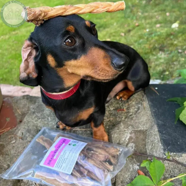 JR Pet Products Braided Beef Gullet Dog Chews 100g or 30cm pack