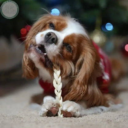 JR Pet Products Braided Lamb Dog Chews | Natural Hypoallergenic Chews (100g Pack or 30cm 4 Pack)