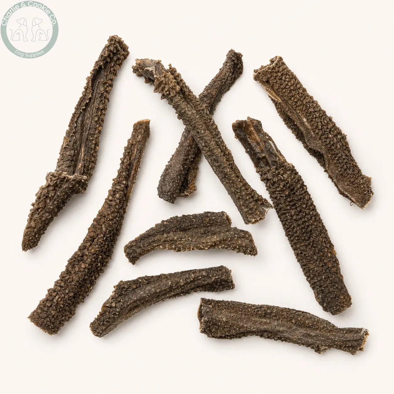 JR Pet Products Dried Tripe natural beef dog treat flat lay