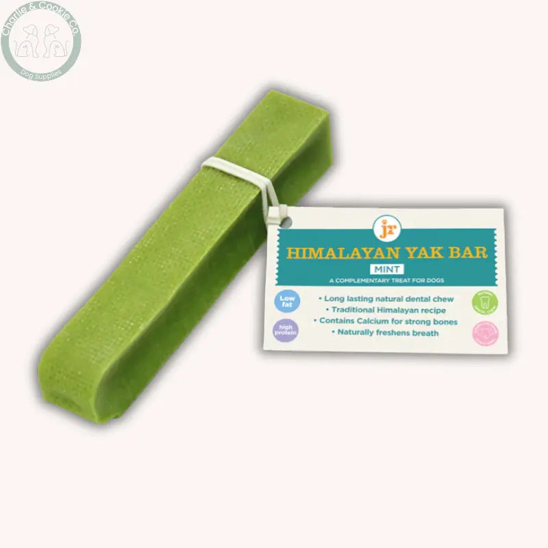 JR Pet Products Mint Himalayan Yak Bar | Long-Lasting Natural Dog Chew JR Pet Products