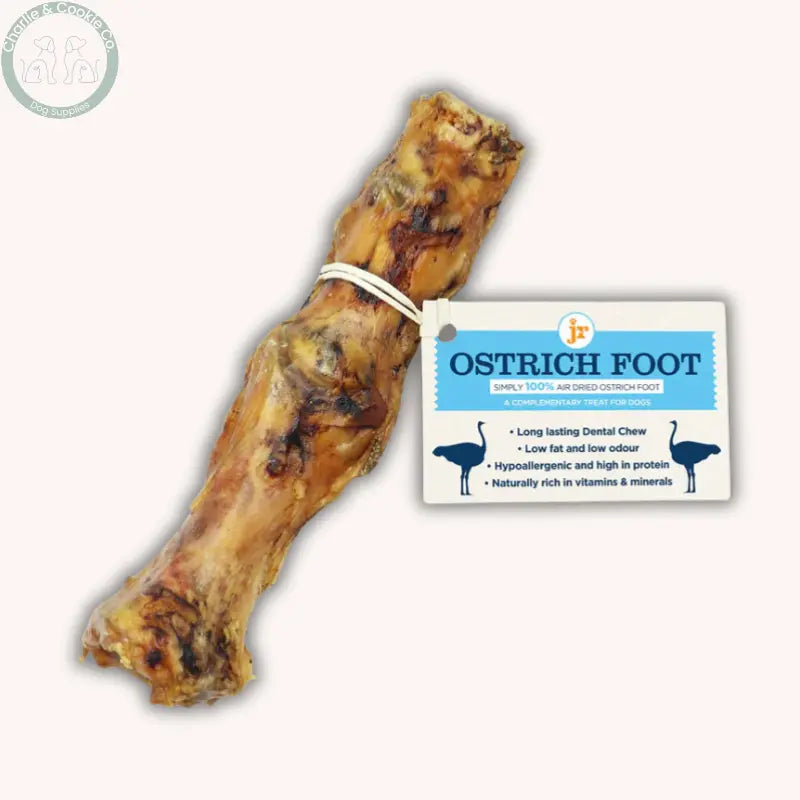JR Pet Products Ostrich Foot (Single) | Hypoallergenic, Long-Lasting Natural Dental Chew Paddock Farm