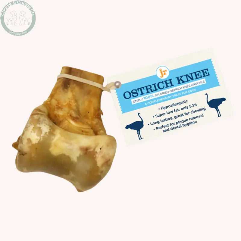 JR Pet Products Ostrich Knee Knuckle | Long-Lasting Hypoallergenic Dental Chew for Dogs JR Pet Products