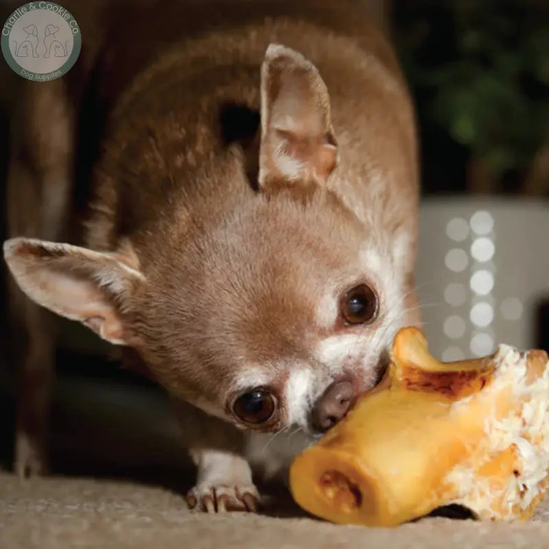 JR Pet Products Ostrich Knee Knuckle | Long-Lasting Hypoallergenic Dental Chew for Dogs JR Pet Products