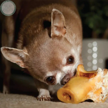 JR Pet Products Ostrich Knee Knuckle | Long-Lasting Hypoallergenic Dental Chew for Dogs JR Pet Products