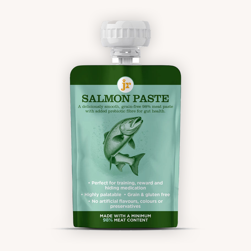 JR Premium Paste Plus Salmon 80g squeeze pouch, front view