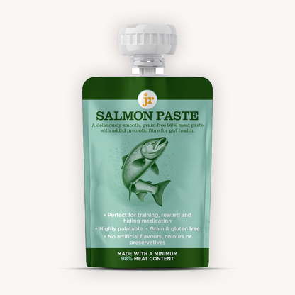 JR Premium Paste Plus Salmon 80g squeeze pouch, front view