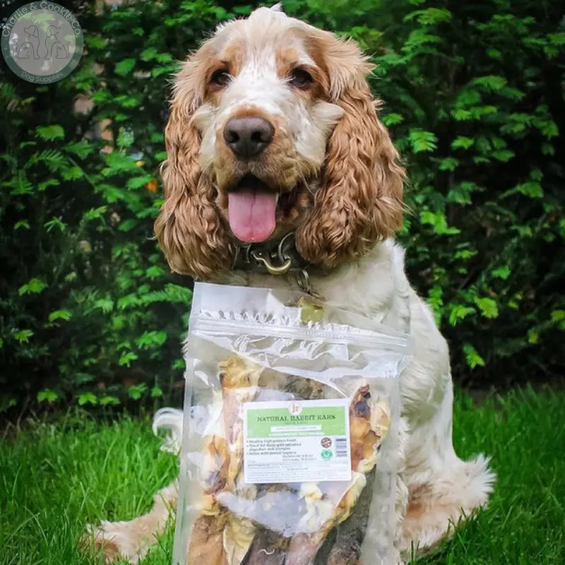 JR Pet Products Rabbit Ears with Hair 100g | Natural Hypoallergenic Dog Chew JR Pet Products