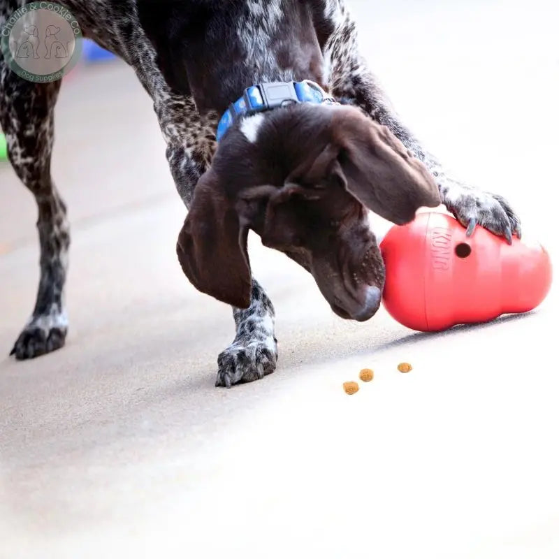 KONG Wobbler – Mentally Stimulating Food Dispenser Brightkins