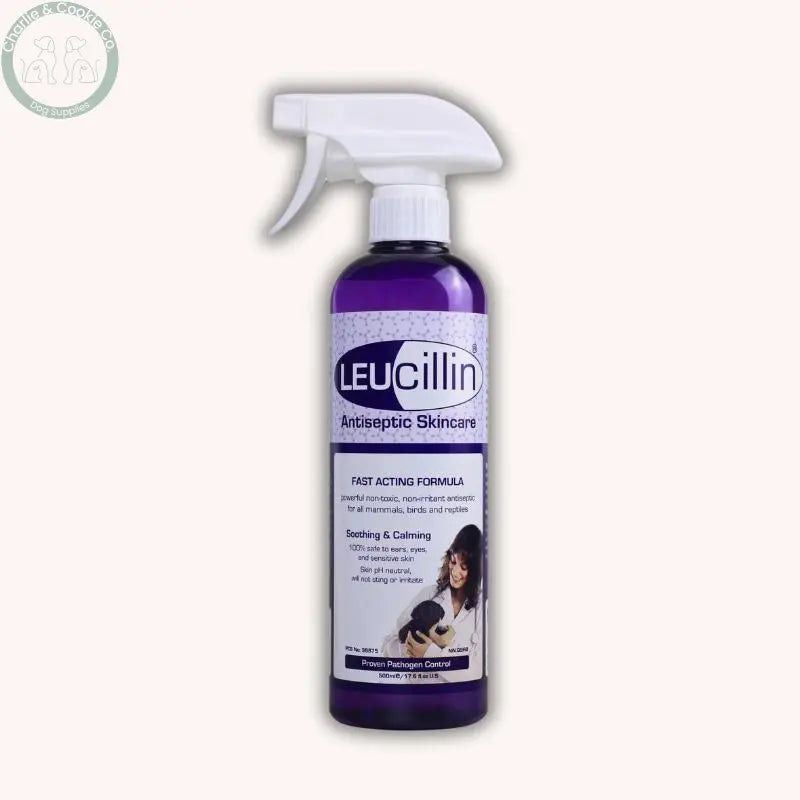 Leucillin Hypochlorous Antiseptic Spray - Safe &amp; Effective Leucillin