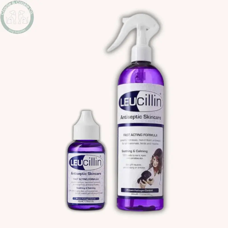 Leucillin Hypochlorous Antiseptic Spray - Safe &amp; Effective Leucillin