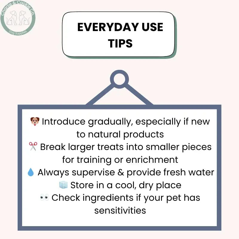 LickiMat Yoggie Pot – Lick Bowl, Slow Feeder &amp; Treat Dispenser | 6 Colour Options LickiMat