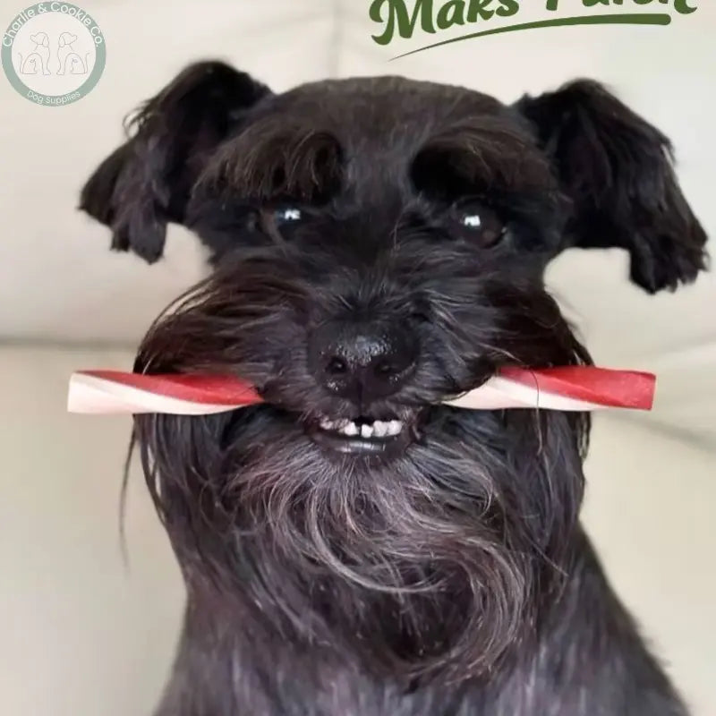 Maks Patch Cheese and Tomato Straw single 14cm low-fat vegan dog treat