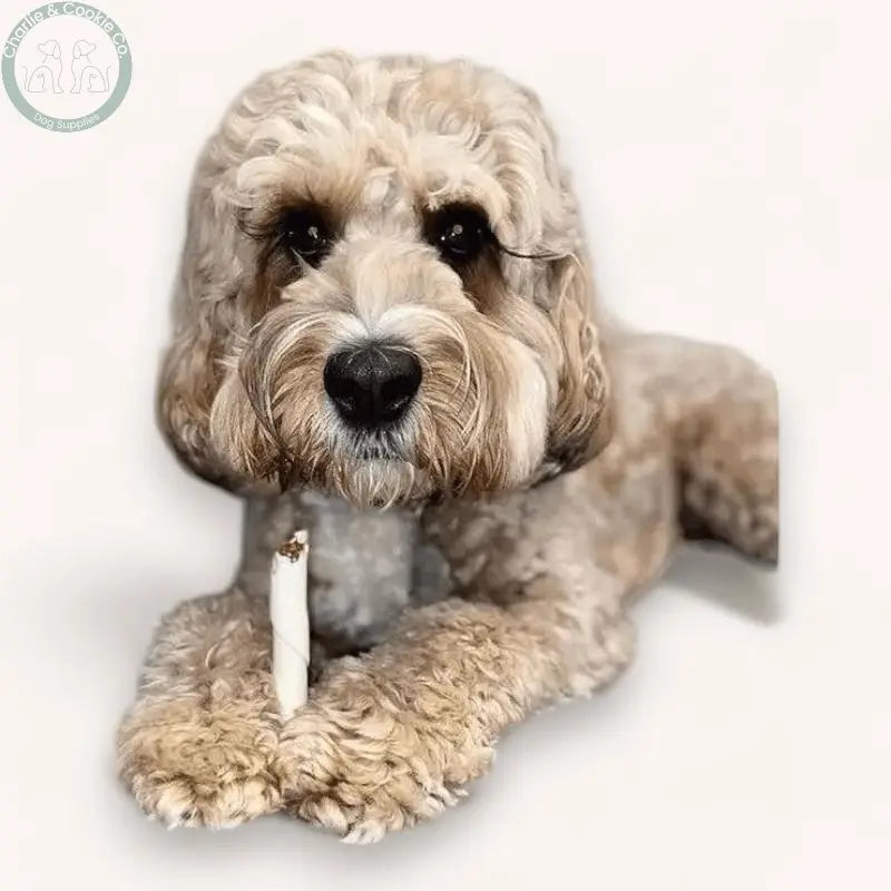 Maks Patch Flavour Filled Twist Sticks (Individual)  - Low-Fat & Vegan Dog Treat - Charlie & Cookie Co.