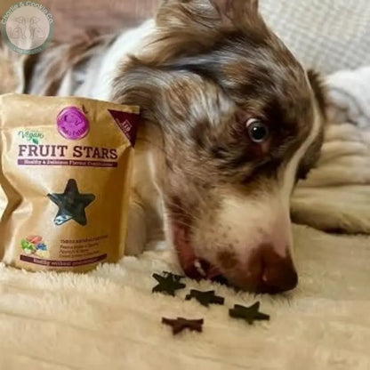 Dog beside a Maks Patch Fruit Stars pouch and treats