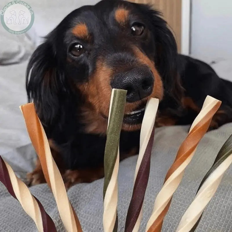 Maks Patch Fruit and Veg Straw single 14cm low-fat vegan dog treat
