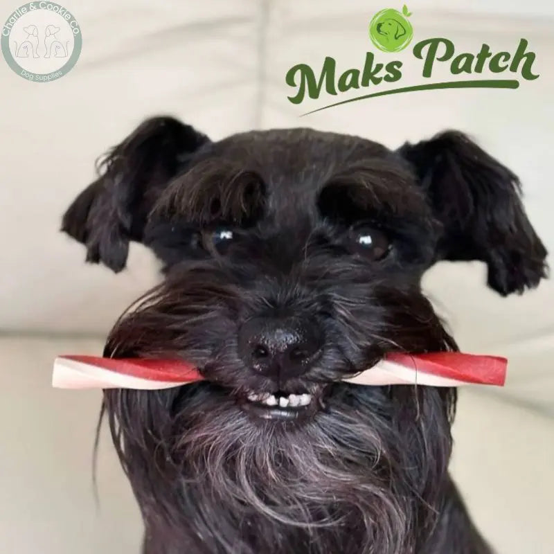 Maks Patch Roastie Straw (Individual) | Low-Fat, Vegan Dog Treat with Roast Dinner Flavours Miro &amp; Makauri