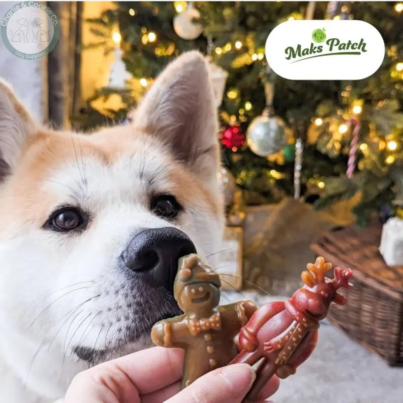 Maks Patch Vegetarian Dog Treats – ‘Ginger &amp; Dasher’ Xmas Treat (Single) | Festive Vegan Dog Treat