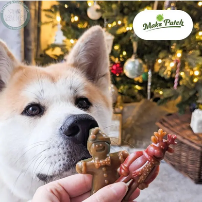 Maks Patch Vegetarian Dog Treats – ‘Ginger &amp; Dasher’ Xmas Treat (Single) | Festive Vegan Dog Treat Miro &amp; Makauri