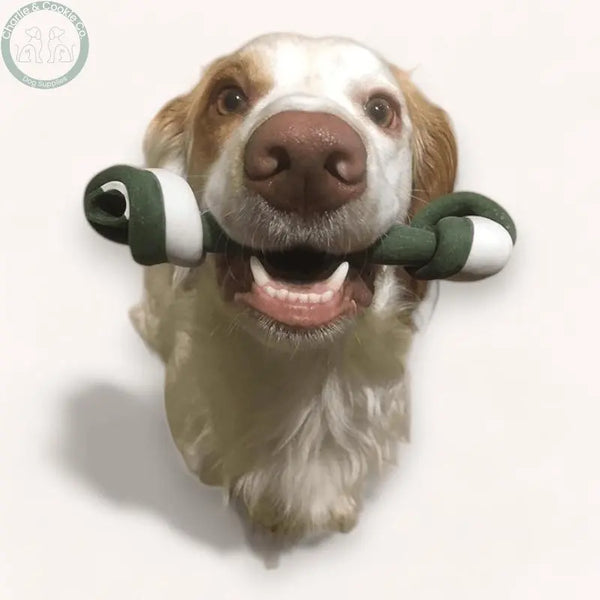 Maks Patch Veggie Knotted Bone single low-fat vegan dog treat in 13cm or 18cm