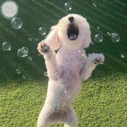 Meaty Bubbles - Flavoured Dog Bubbles for Engaging Play - Charlie &amp; Cookie Co.