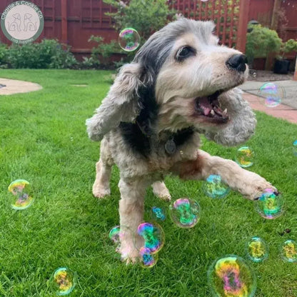 Meaty Bubbles - Flavoured Dog Bubbles for Engaging Play - Charlie &amp; Cookie Co.