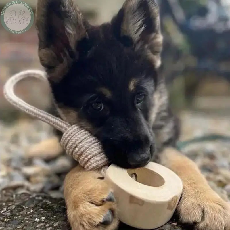 Miro &amp; Makauri Coffee Wood - Natural Chew N Tug Toy Miro &amp; Makauri