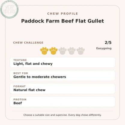 Chew Profile for Paddock Farm Beef Flat Gullet: challenge 2/5, light, flat and chewy