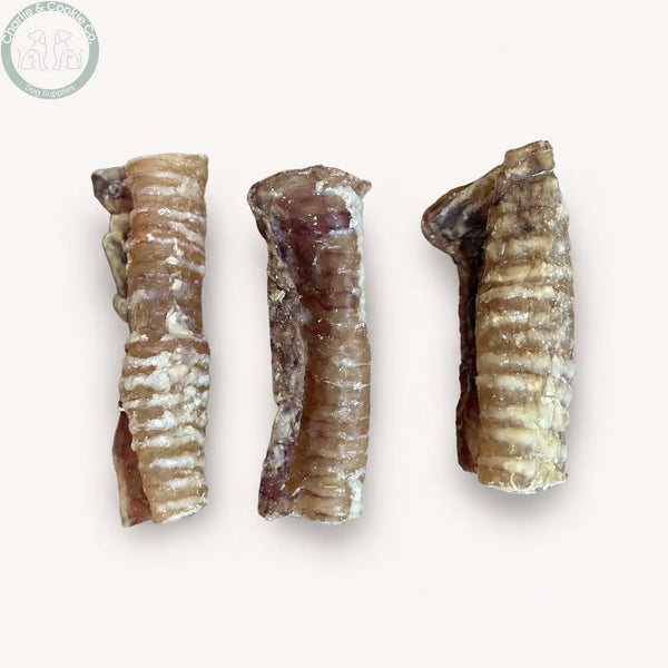 Paddock Farm 12cm beef trachea dog chews, 1kg pack