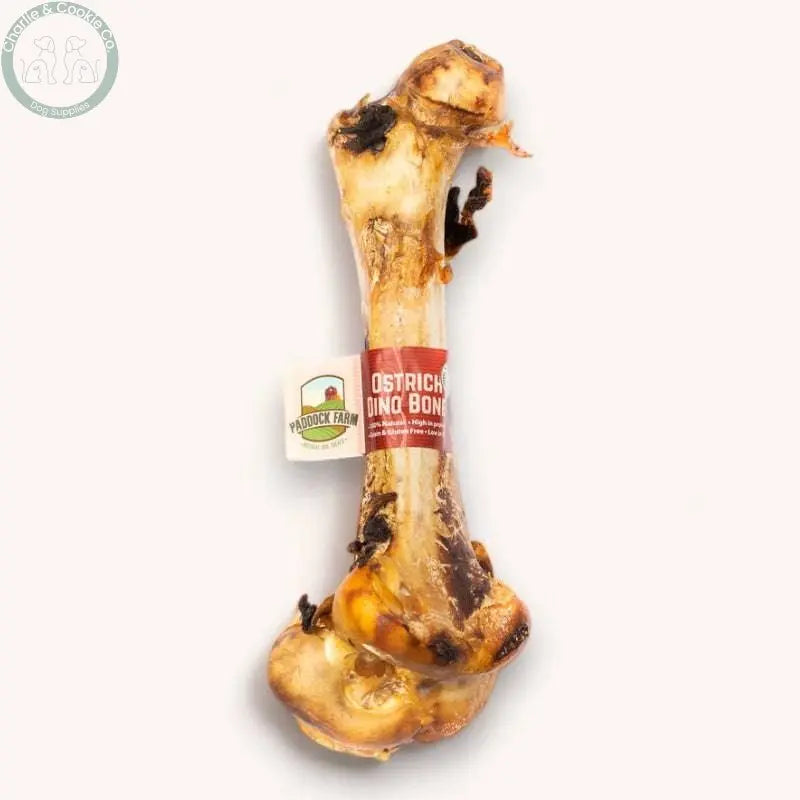 Paddock Farm Ostrich Dino Bone - Premium Long-Lasting Dog Chew - Charlie &amp; Cookie Co.