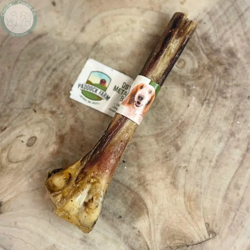 Paddock Farm Ostrich Metatarsus Bone single natural dog chew