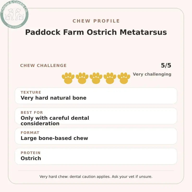 Chew Profile for Paddock Farm Ostrich Metatarsus: challenge 5/5, very hard natural bone
