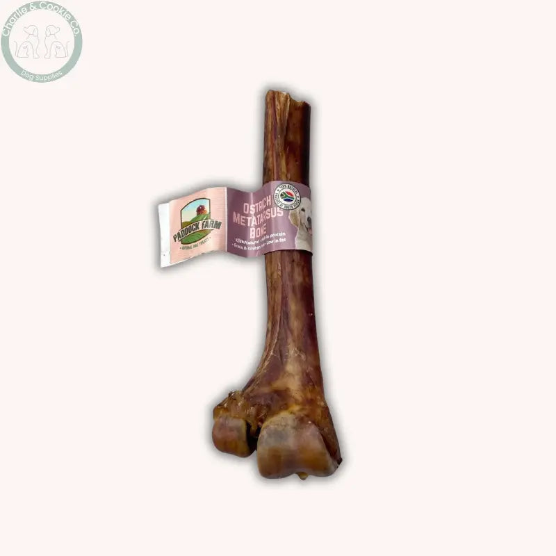 Paddock Farm Ostrich Metatarsus Bone (Single) | Natural Dog Chew