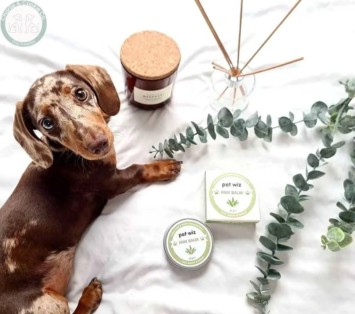 Pet Wiz Organic Paw &amp; Nose Balm - Soothing &amp; Protecting Formula - Charlie &amp; Cookie Co.